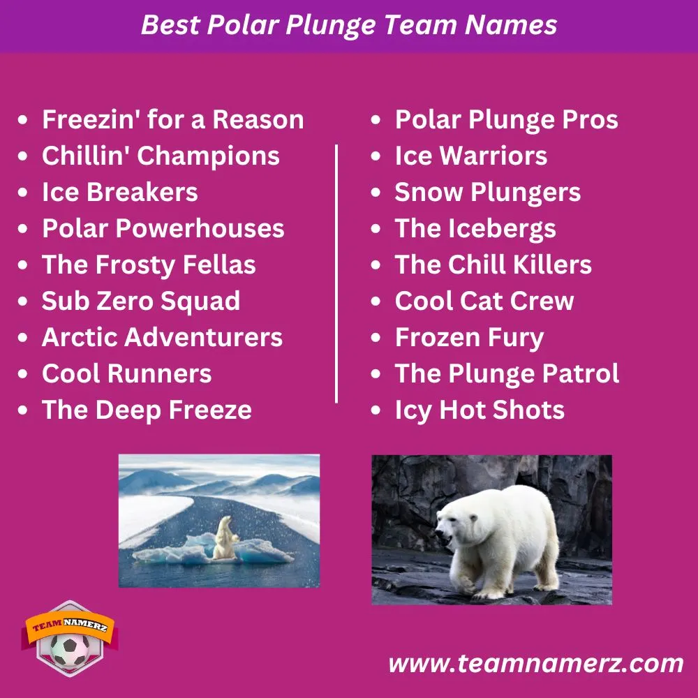 Best Polar Plunge Team Names