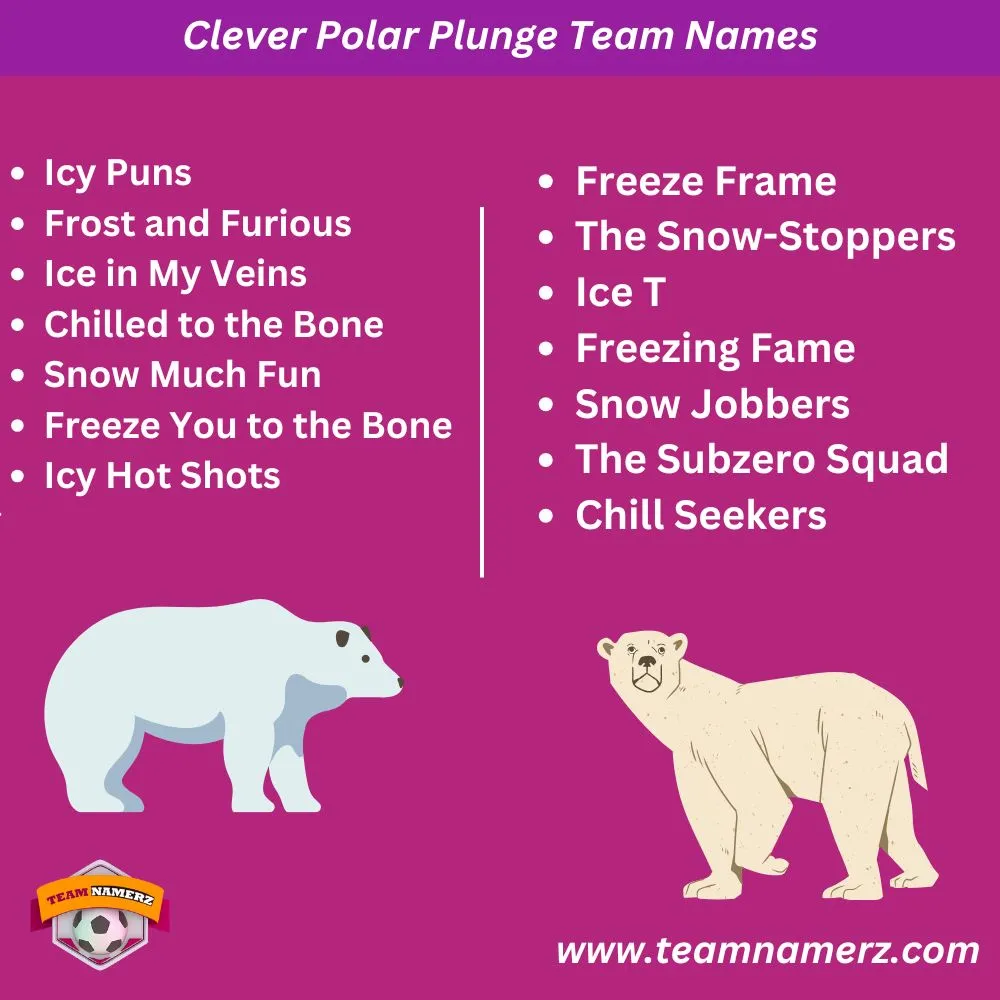 Clever Polar Plunge Team Names
