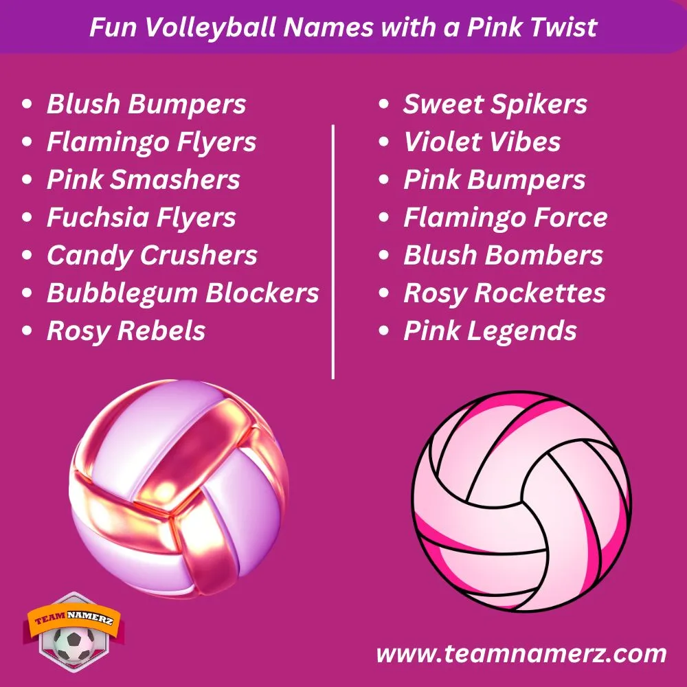 Fun Volleyball Names